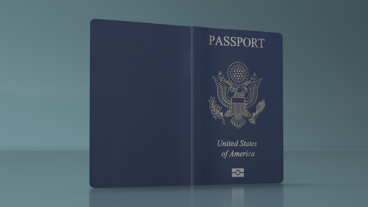 3D model Passport of US with Travel Stamps 2