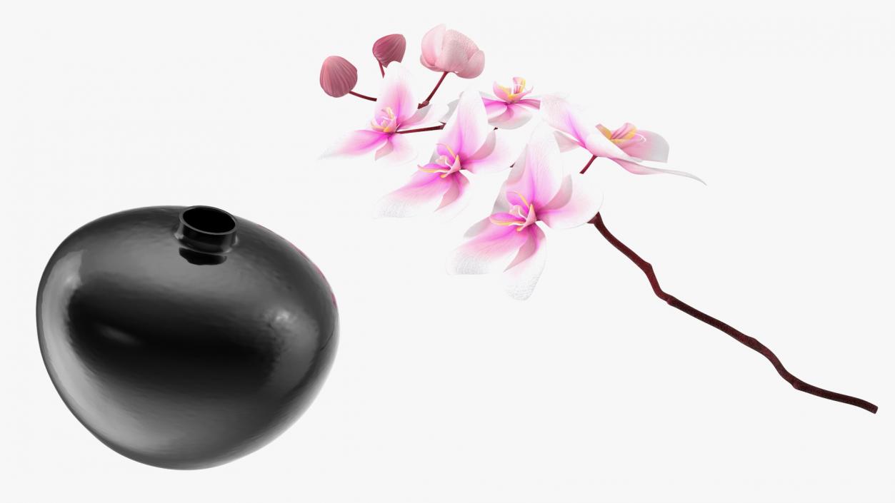 3D Orchid Stem and Black Vase