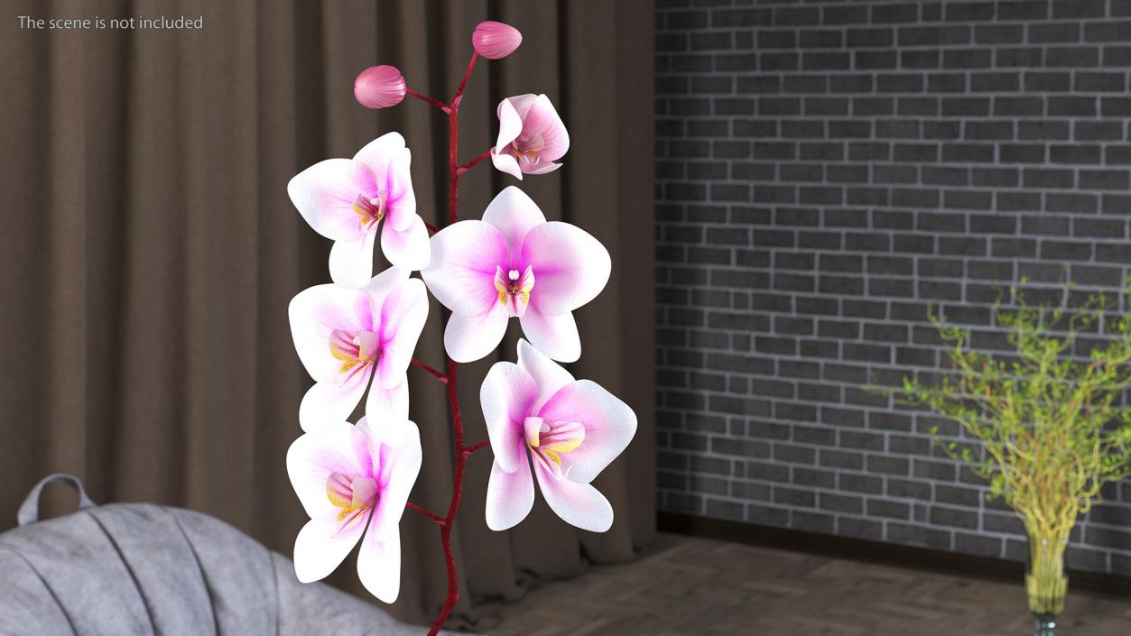 3D Orchid Stem and Black Vase