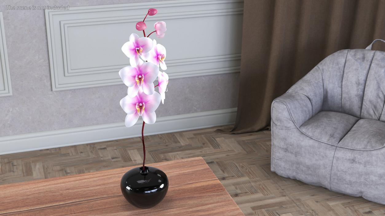 3D Orchid Stem and Black Vase