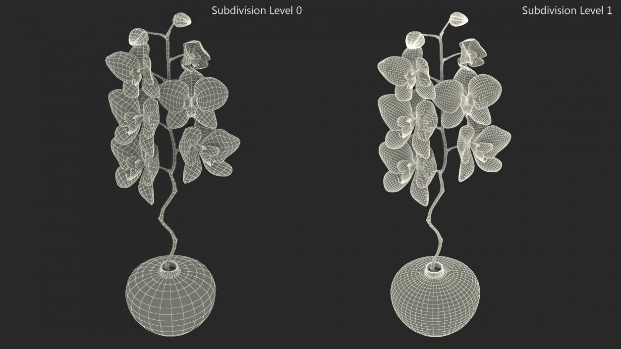 3D Orchid Stem and Black Vase