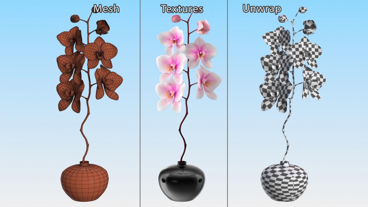 3D Orchid Stem and Black Vase