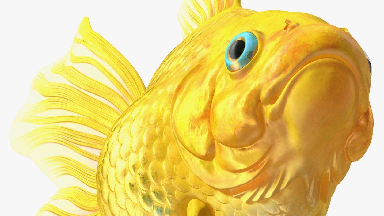 Goldfish Swimming Pose 3D