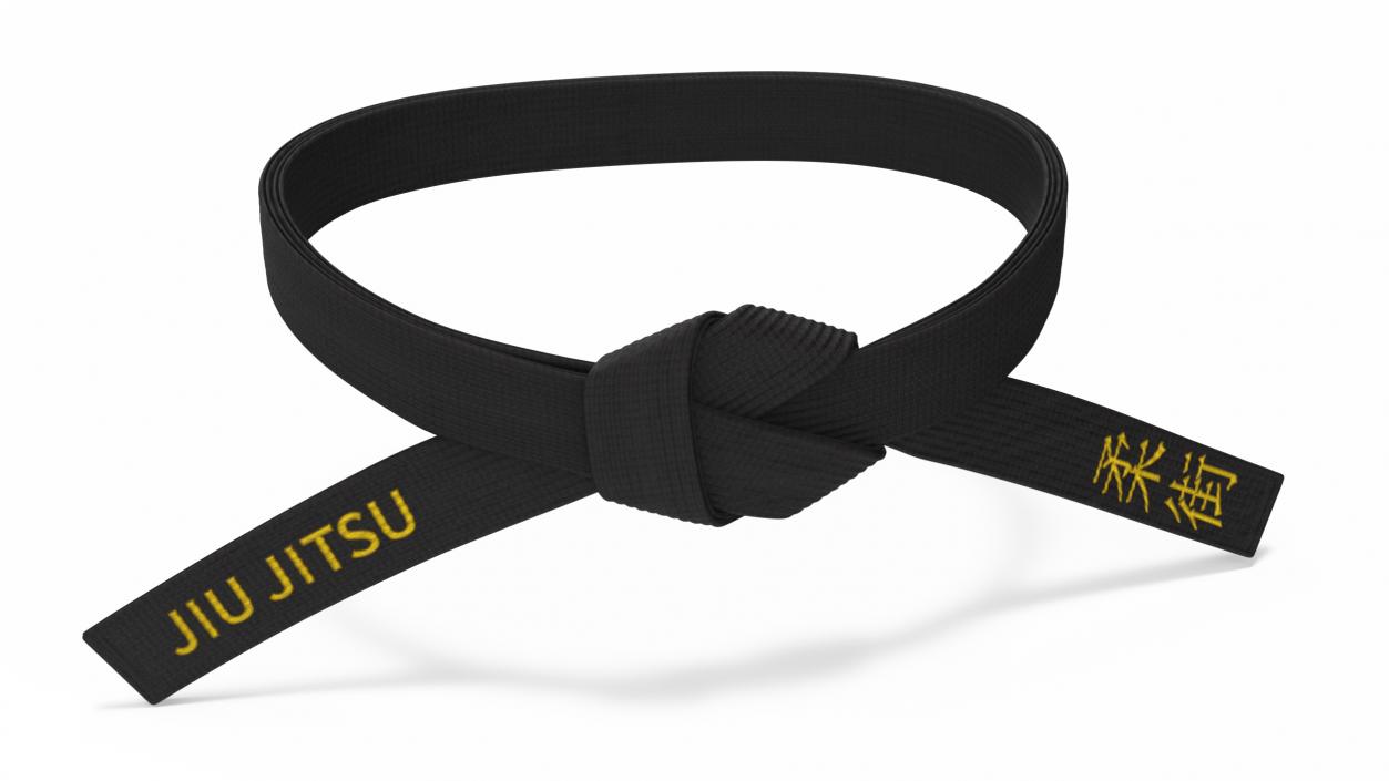 3D model Jiu Jitsu Black Waist Obi Belt