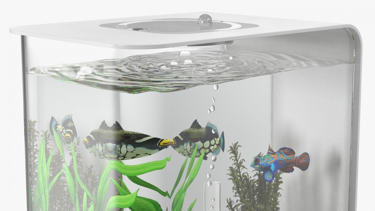 3D model Rectangle Fish Tank White