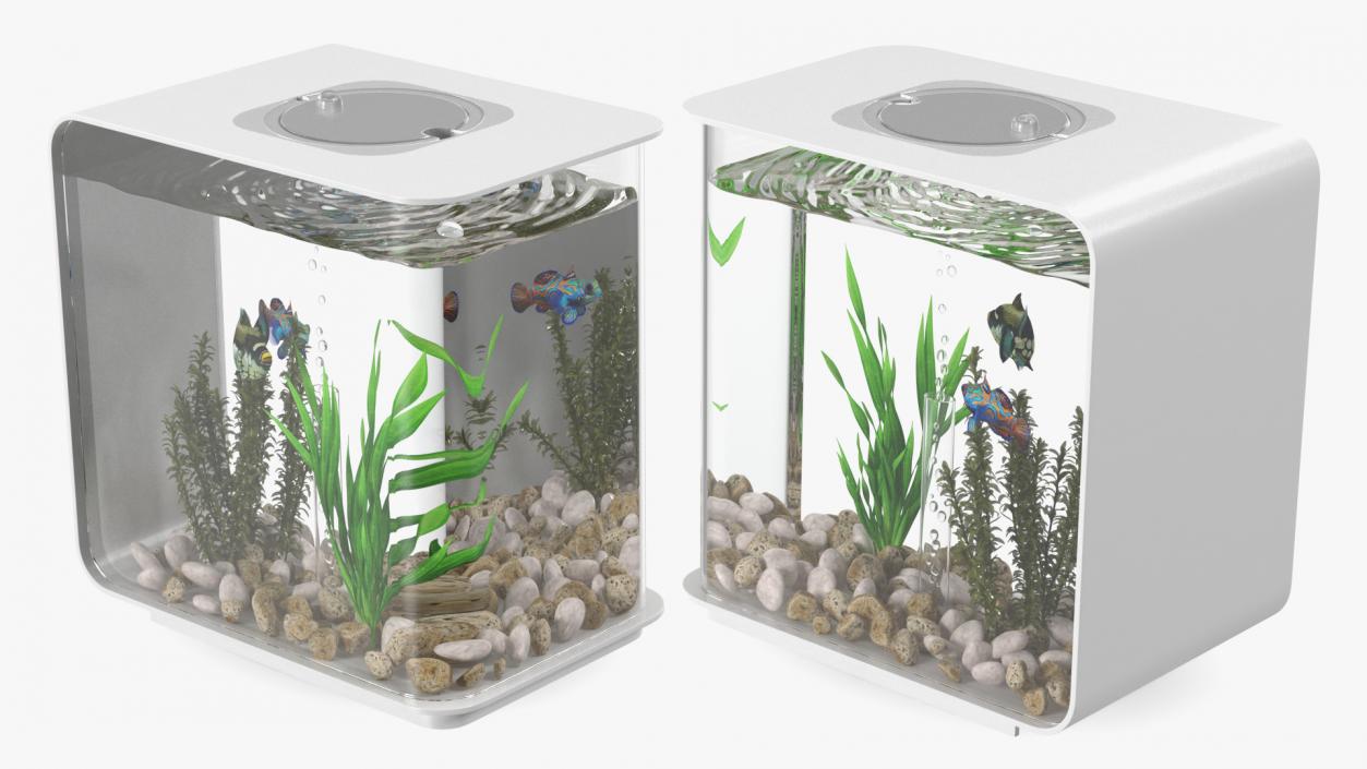 3D model Rectangle Fish Tank White