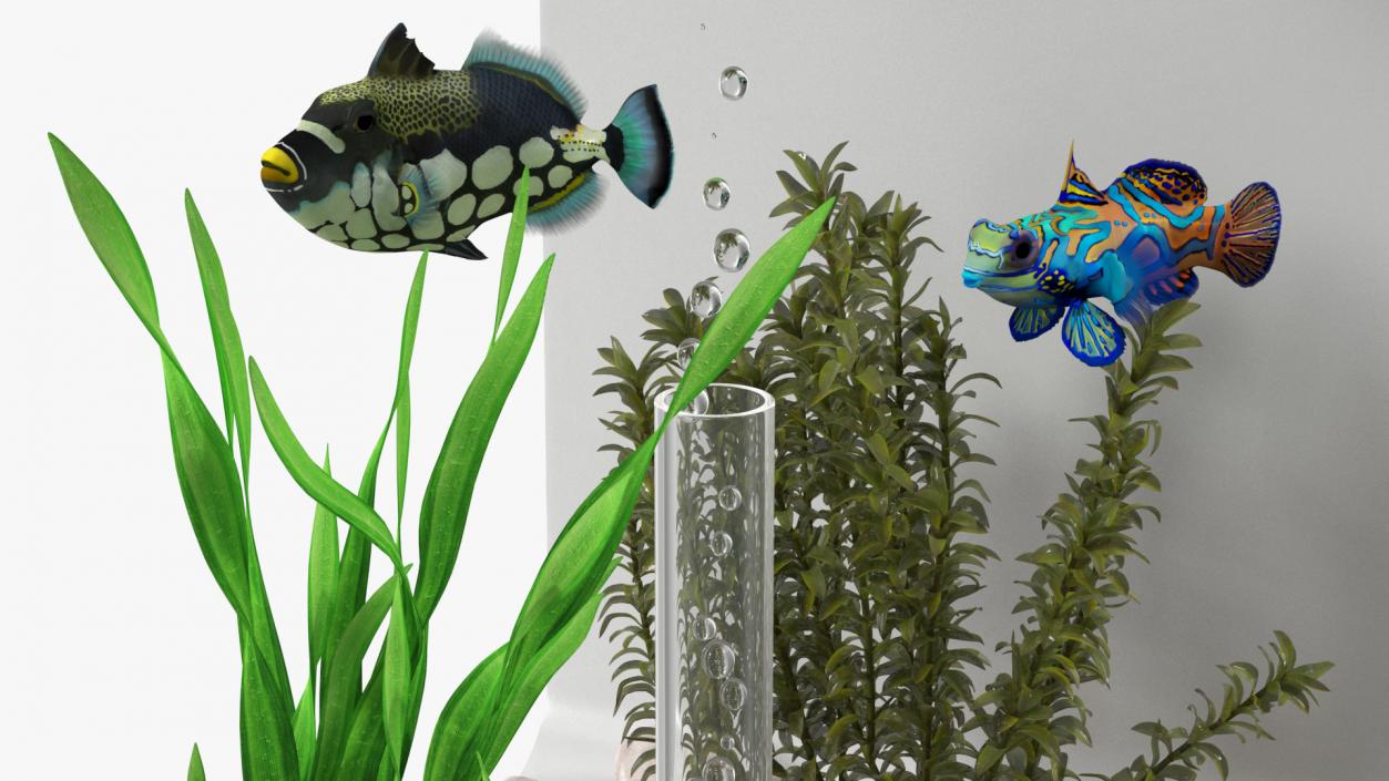 3D model Rectangle Fish Tank White