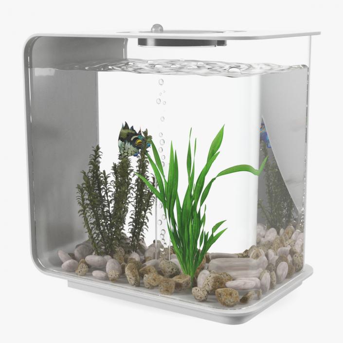 3D model Rectangle Fish Tank White