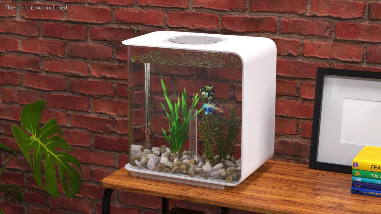 3D model Rectangle Fish Tank White