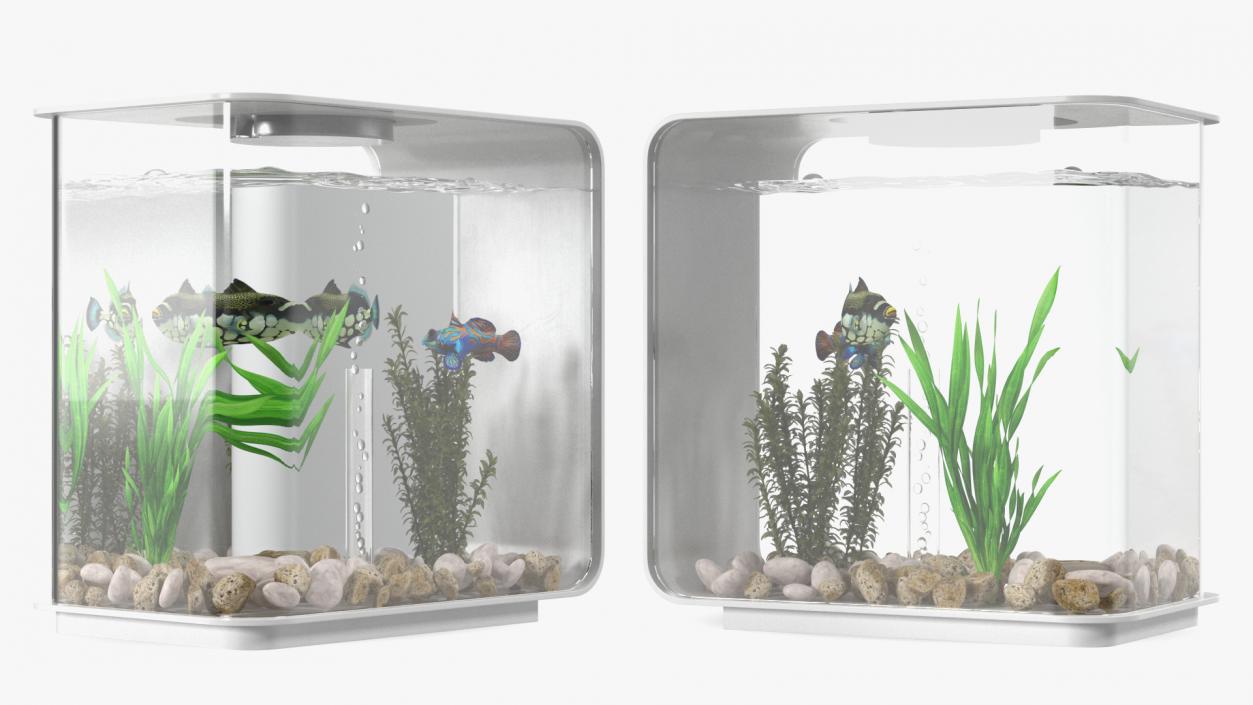 3D model Rectangle Fish Tank White