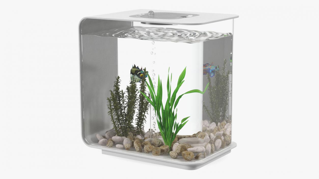 3D model Rectangle Fish Tank White