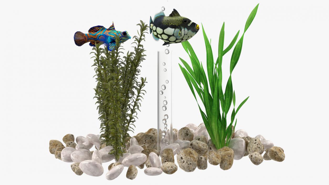 3D model Rectangle Fish Tank White