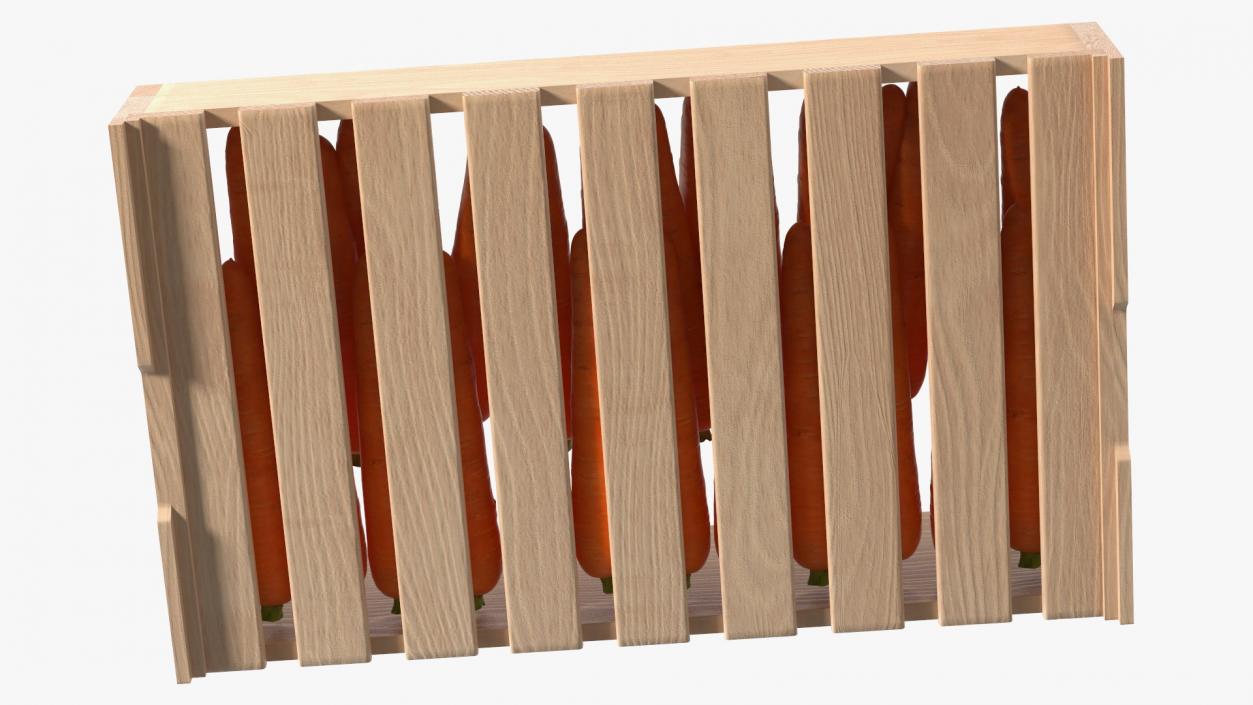 Beech Wood Rack with Carrot 3D