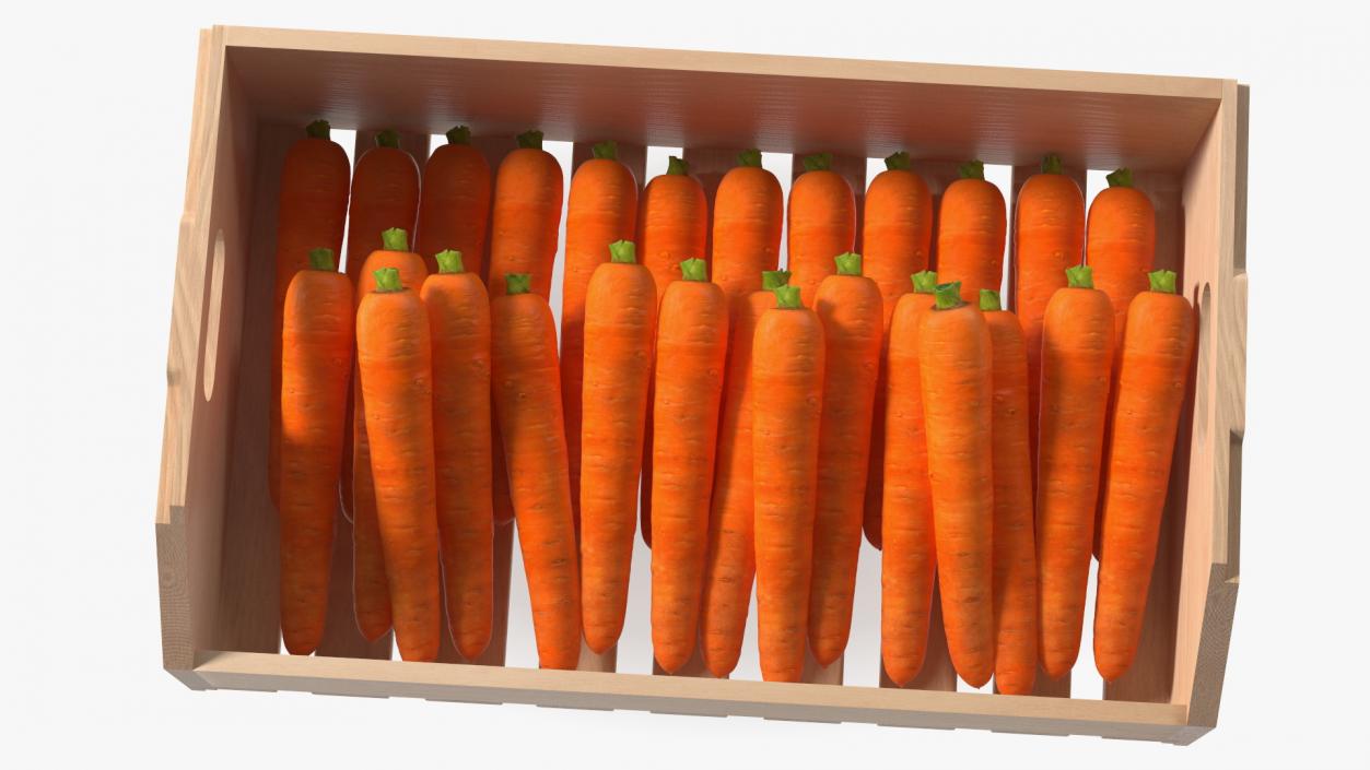 Beech Wood Rack with Carrot 3D