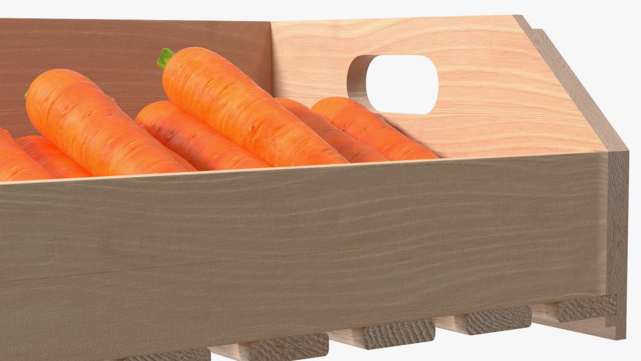 Beech Wood Rack with Carrot 3D