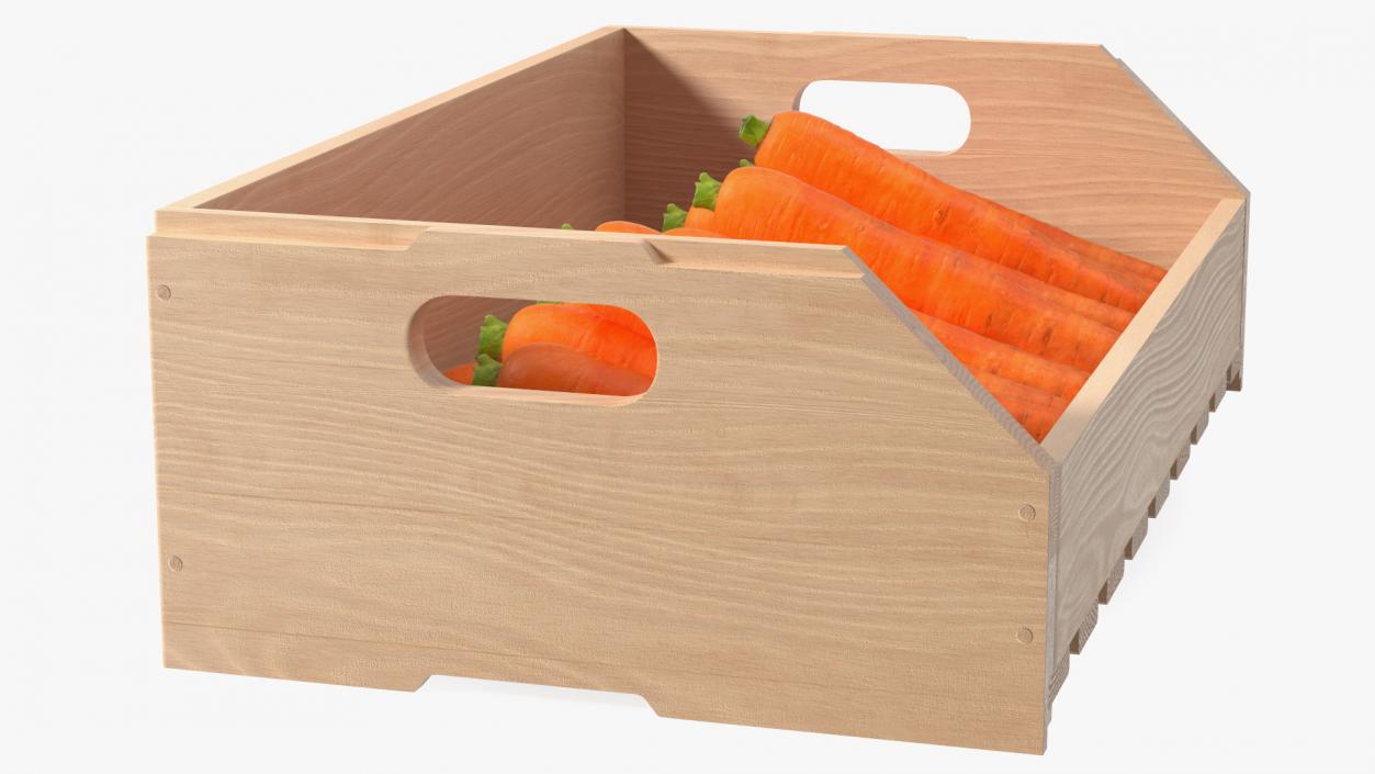 Beech Wood Rack with Carrot 3D