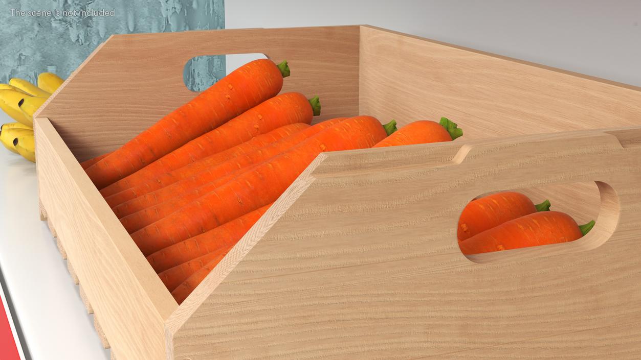 Beech Wood Rack with Carrot 3D