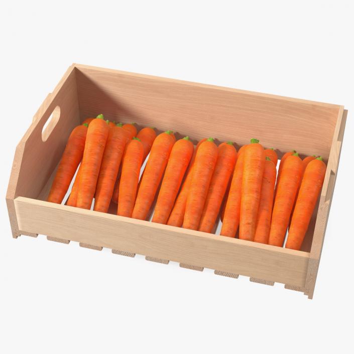 Beech Wood Rack with Carrot 3D