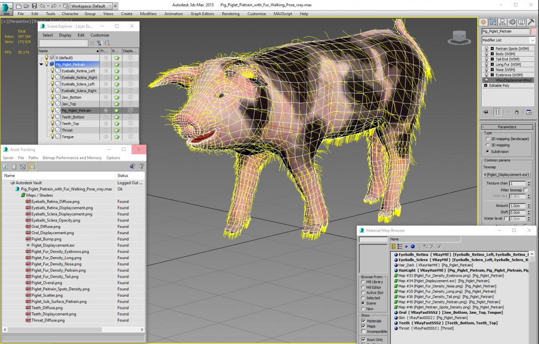 3D Pig Piglet Pietrain with Fur Walking Pose