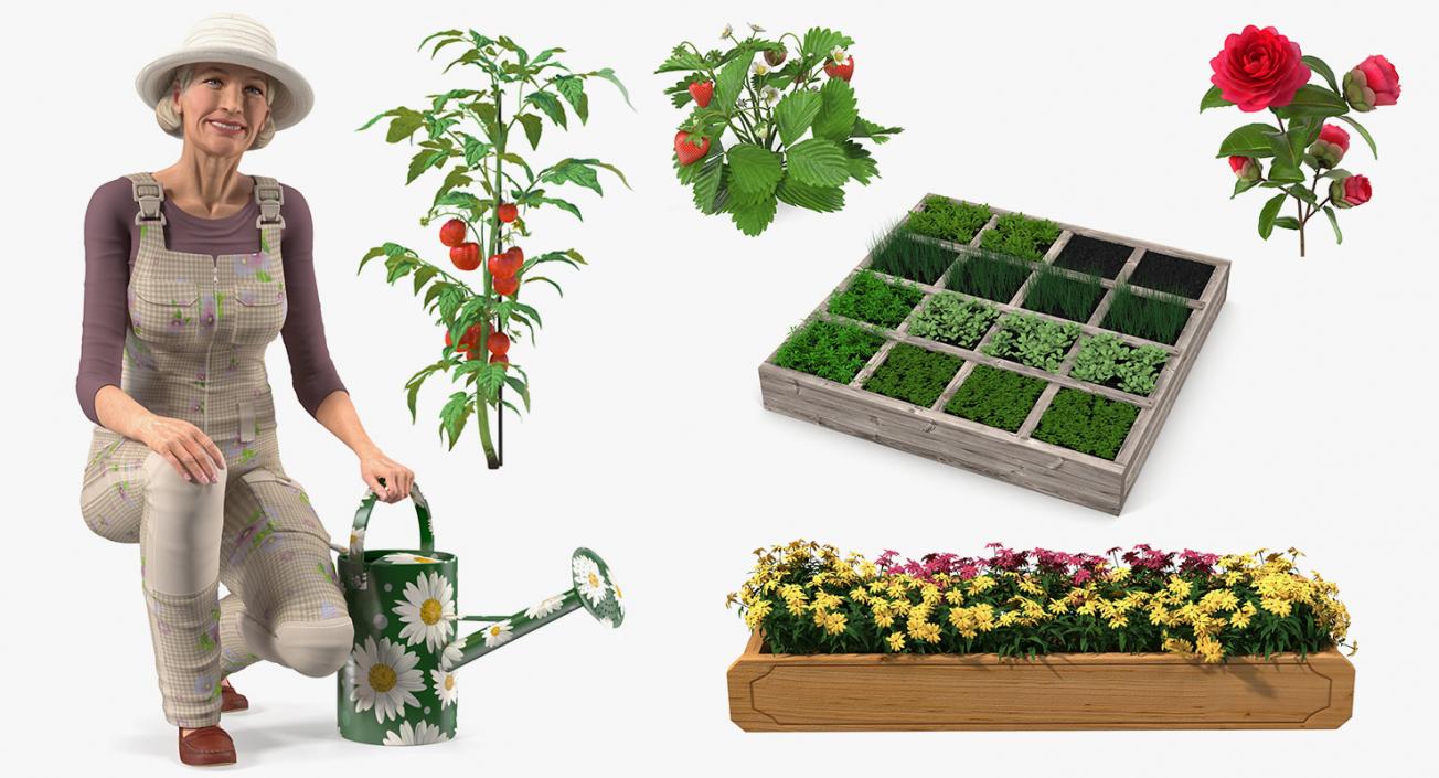 Gardening Lady with Plants Collection 2 3D model