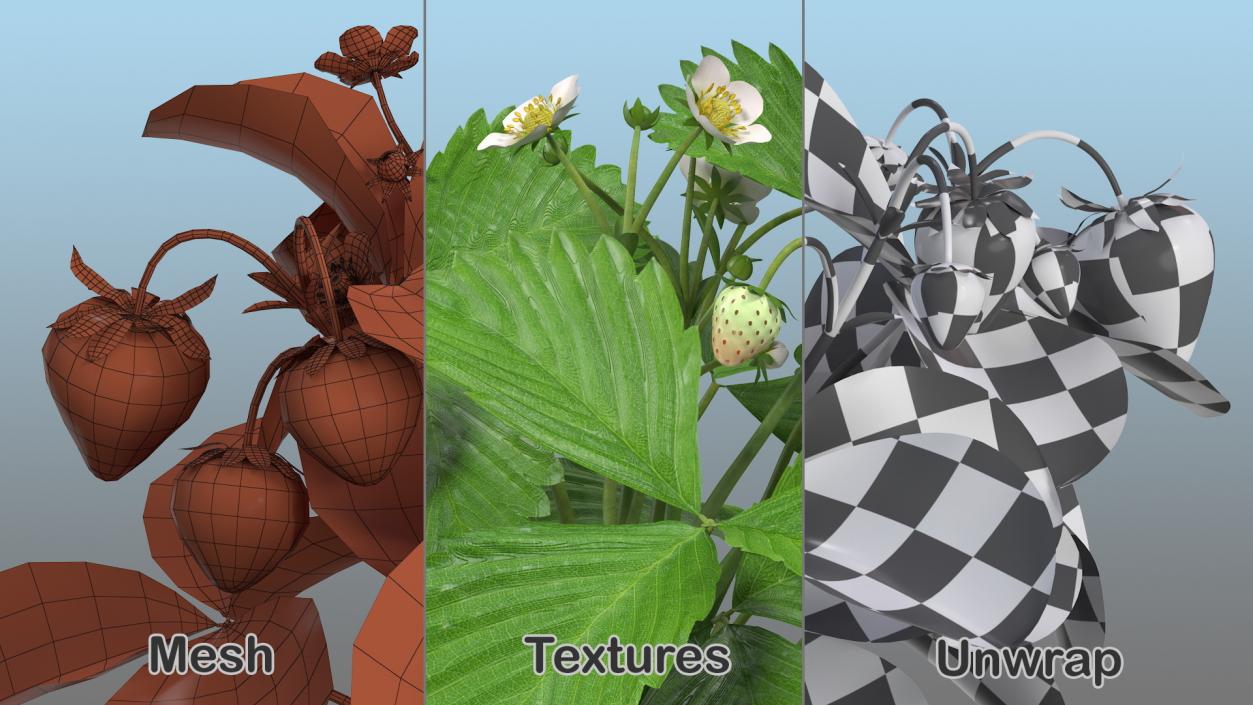 Gardening Lady with Plants Collection 2 3D model