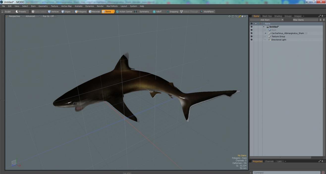 3D Carcharhinus Albimarginatus Shark model