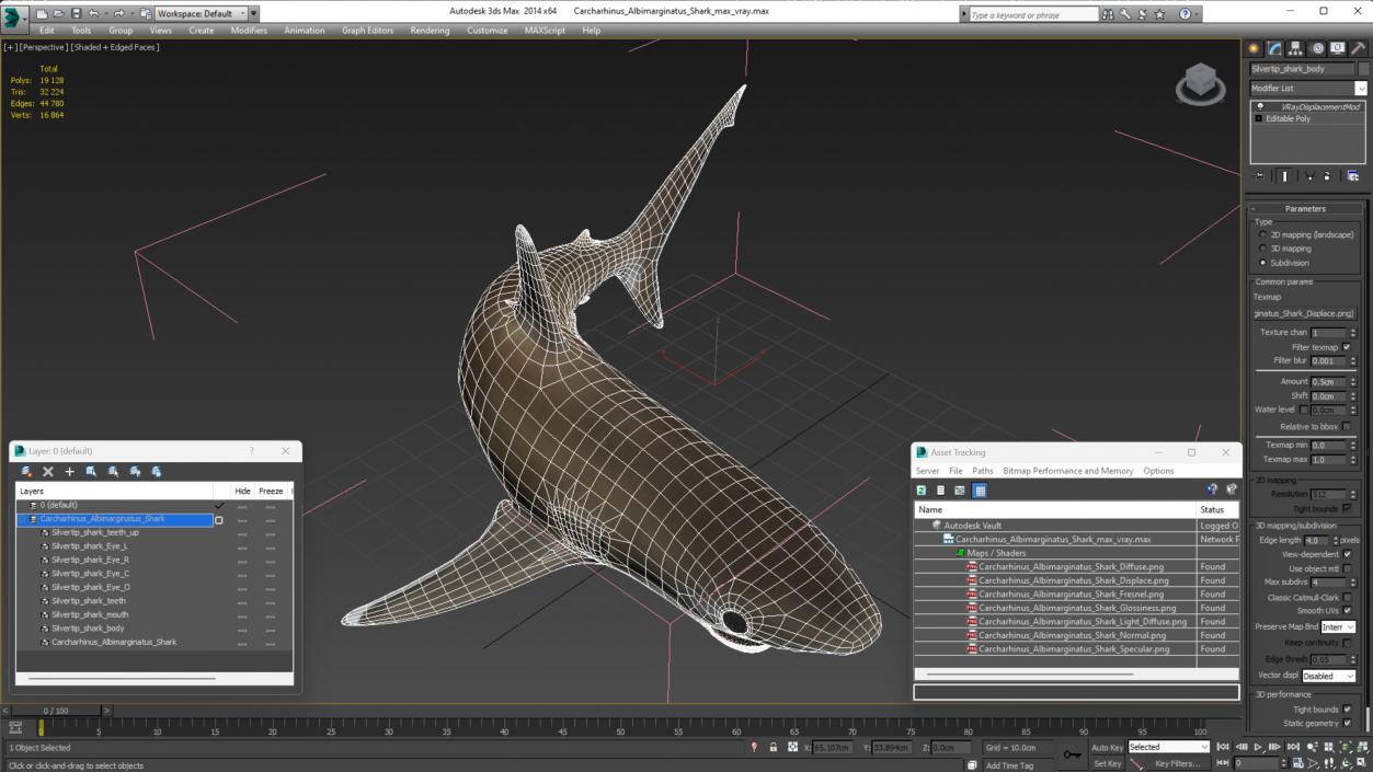 3D Carcharhinus Albimarginatus Shark model