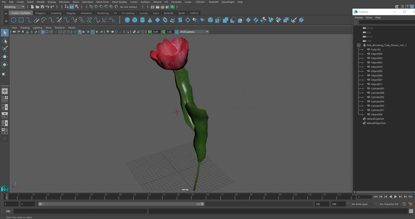 3D Pink Blooming Tulip Flower