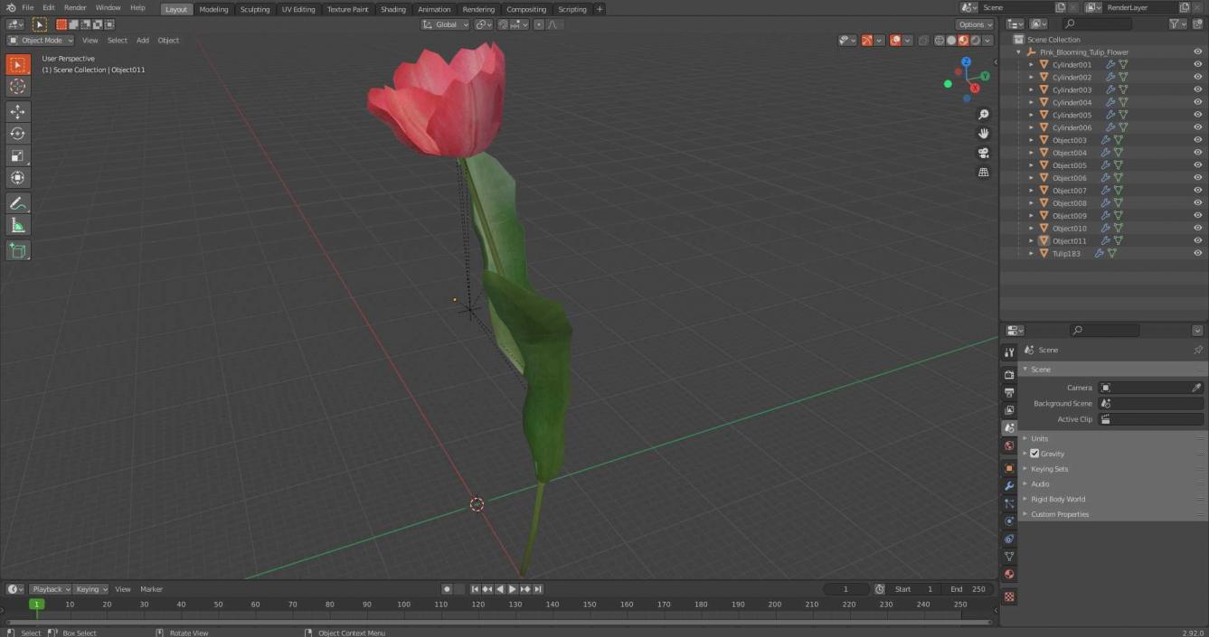 3D Pink Blooming Tulip Flower