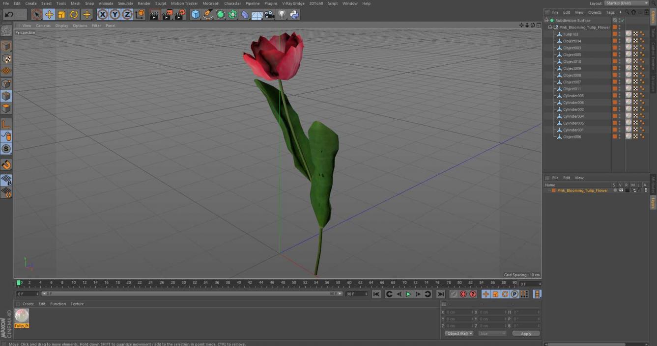 3D Pink Blooming Tulip Flower