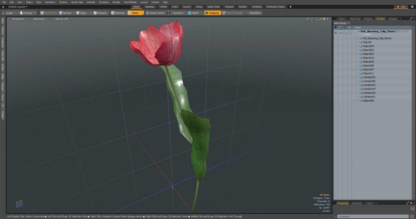 3D Pink Blooming Tulip Flower