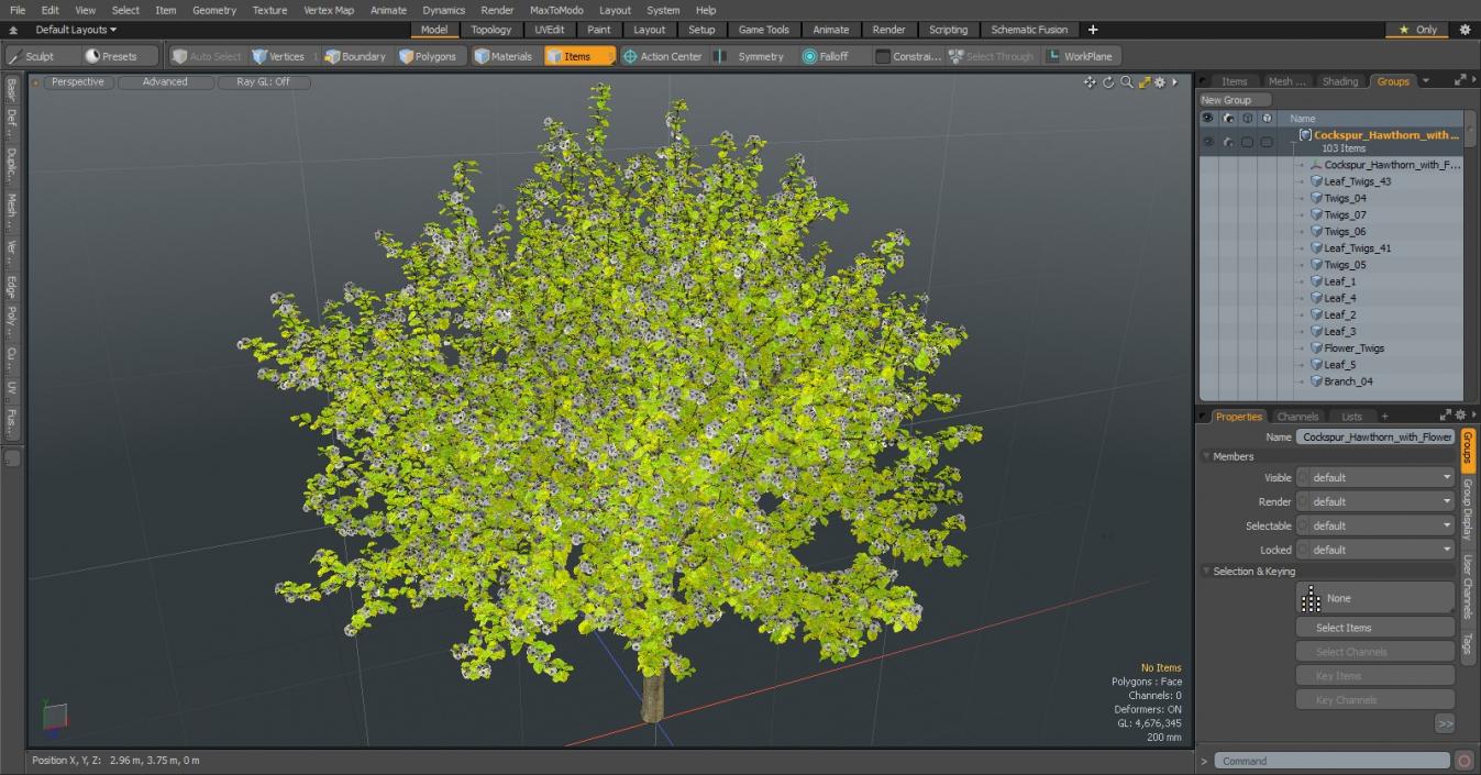 Cockspur Hawthorn with Flower 3D model