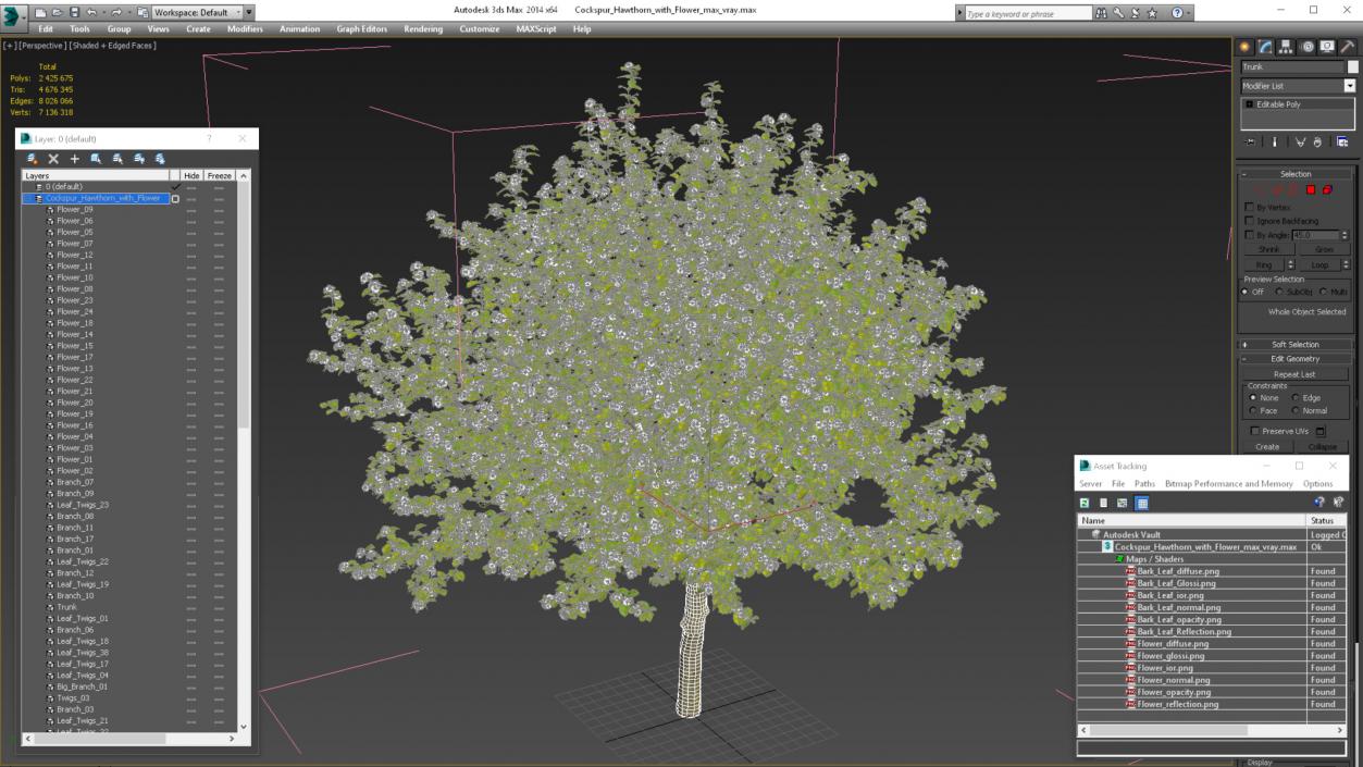 Cockspur Hawthorn with Flower 3D model