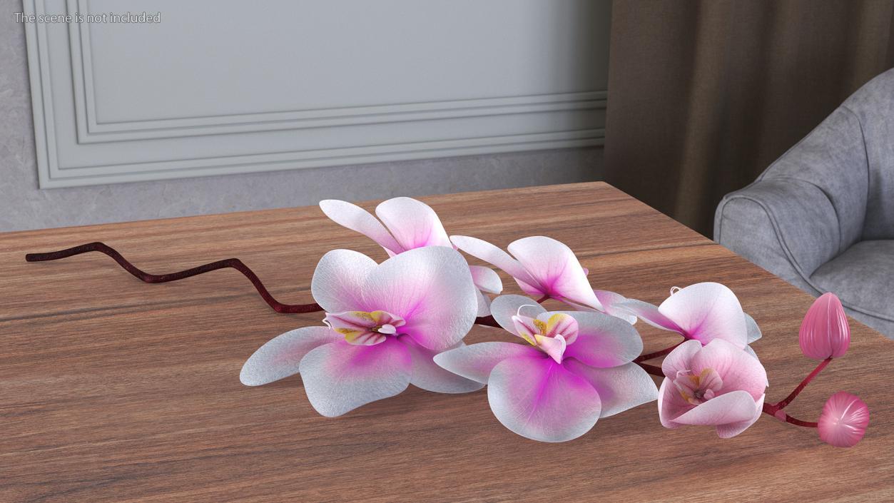 Small Orchid Stem 3D