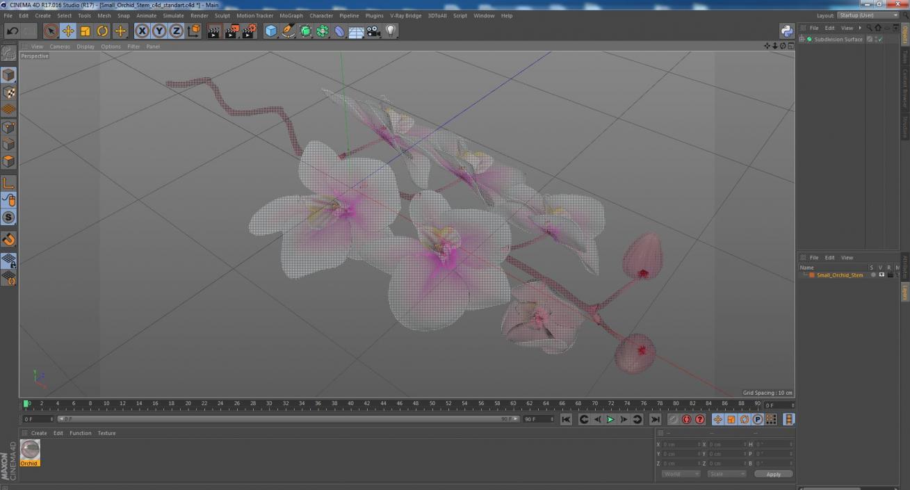 Small Orchid Stem 3D