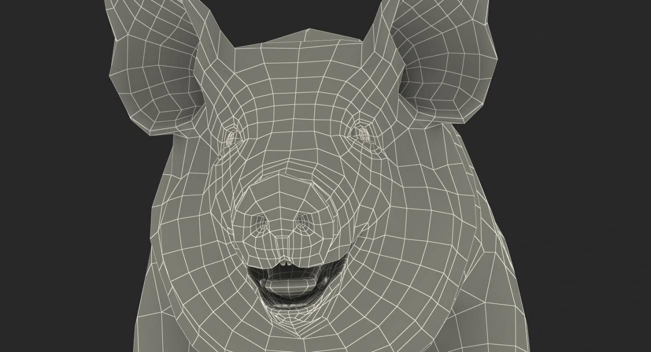 Pig Sow Landrace Rigged with Fur 3D