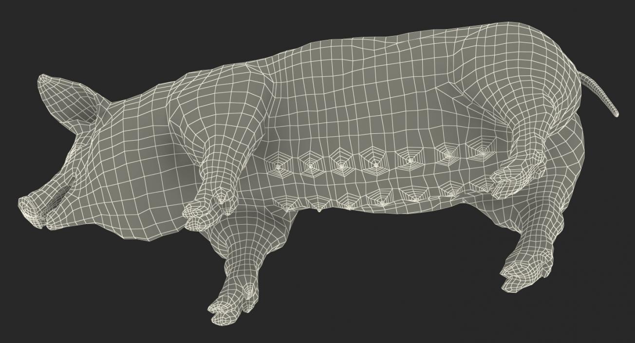 Pig Sow Landrace Rigged with Fur 3D