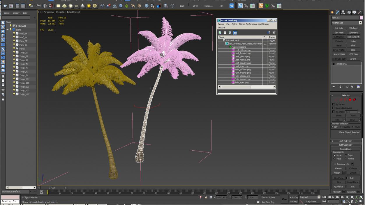 3D Tall Coconut Palm Trees model