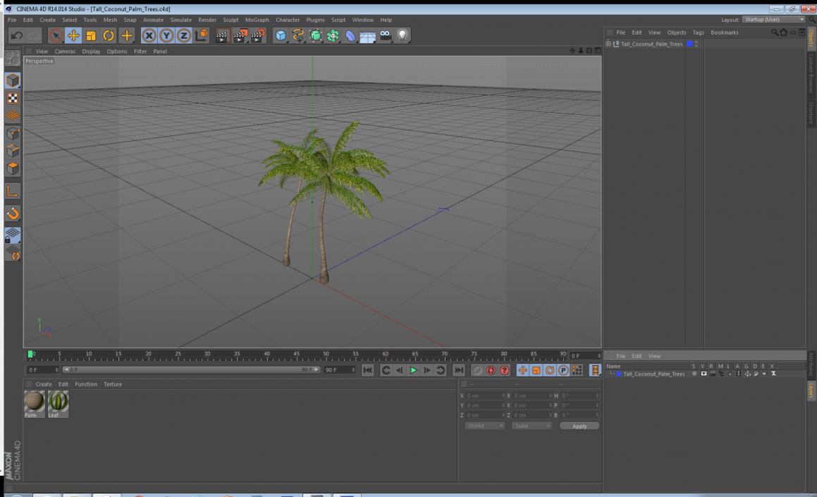 3D Tall Coconut Palm Trees model