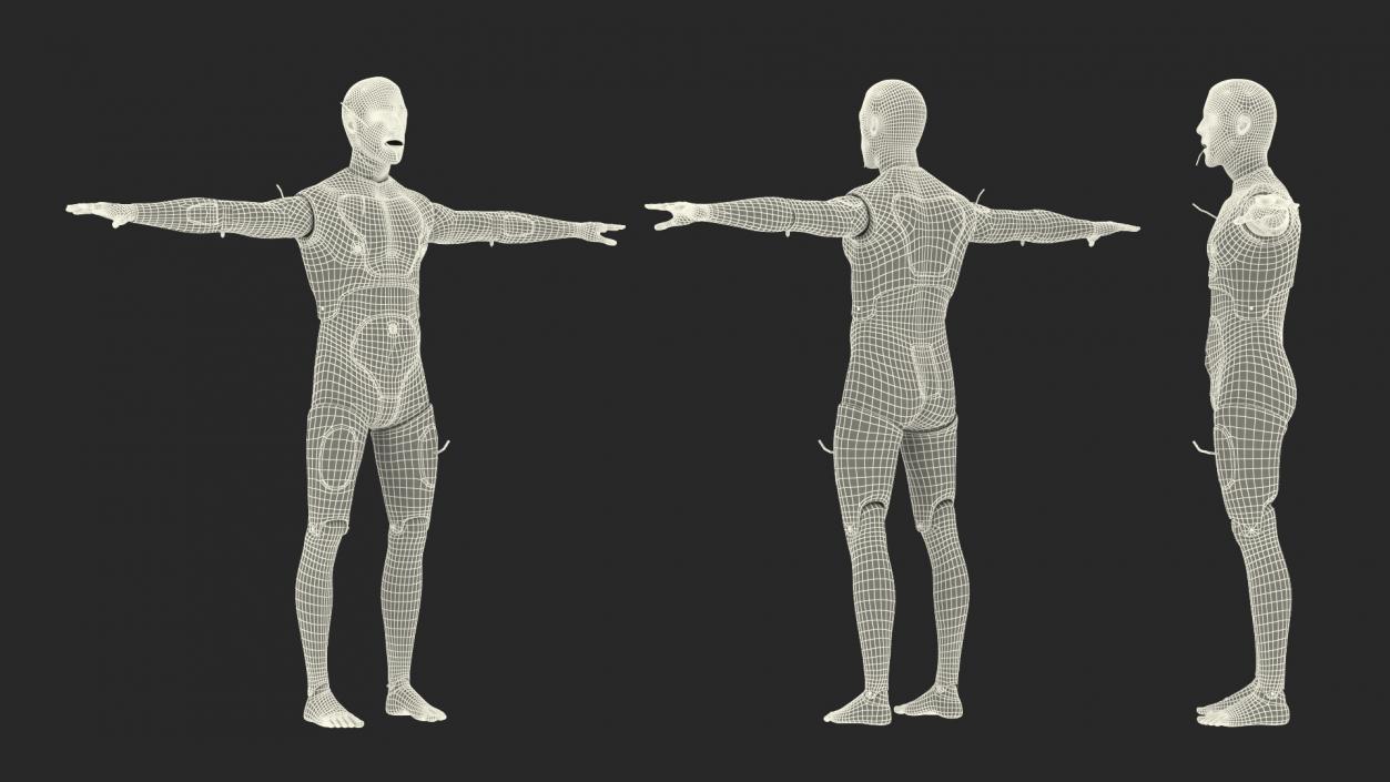 Trauma and Extrication Manikin T-Pose 3D