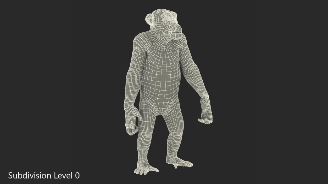 Chimpanzee Dark Rigged 3D