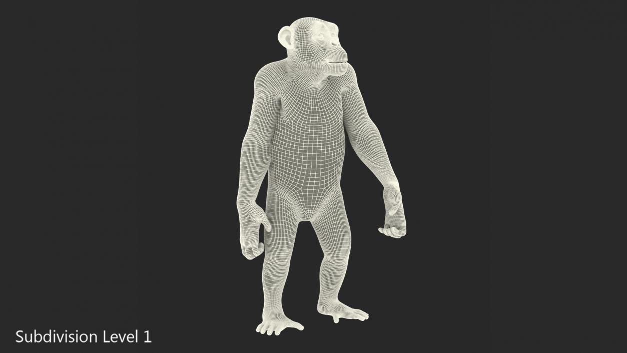 Chimpanzee Dark Rigged 3D