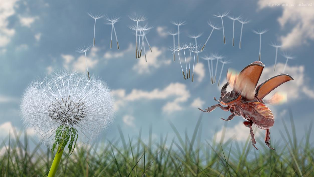 Ripe Dandelion Blowing by the Wind 3D model