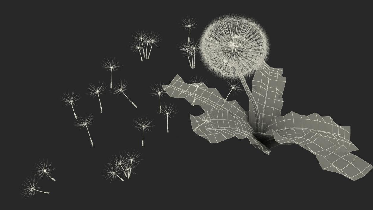 Ripe Dandelion Blowing by the Wind 3D model