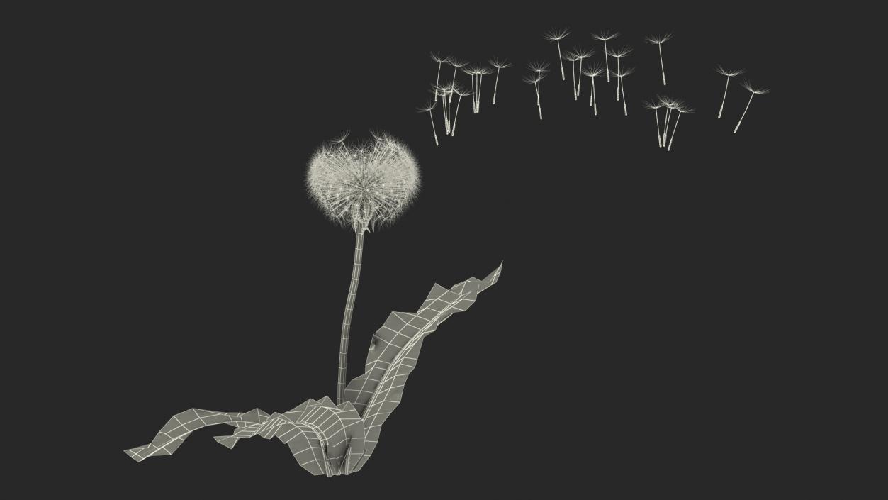 Ripe Dandelion Blowing by the Wind 3D model