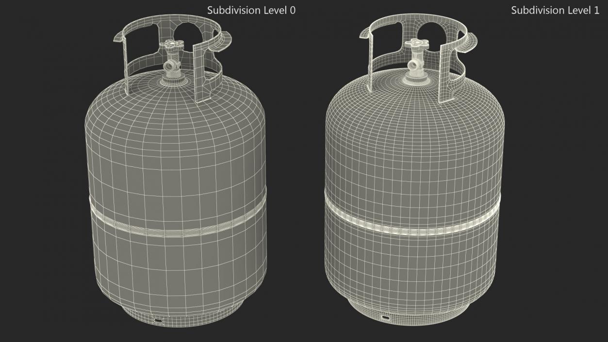 Standard Propane Gas Cylinder 3D model