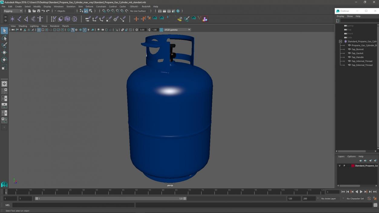 Standard Propane Gas Cylinder 3D model