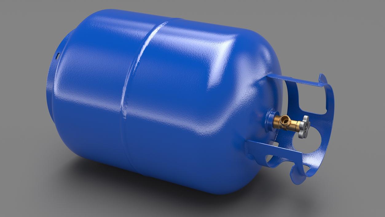 Standard Propane Gas Cylinder 3D model