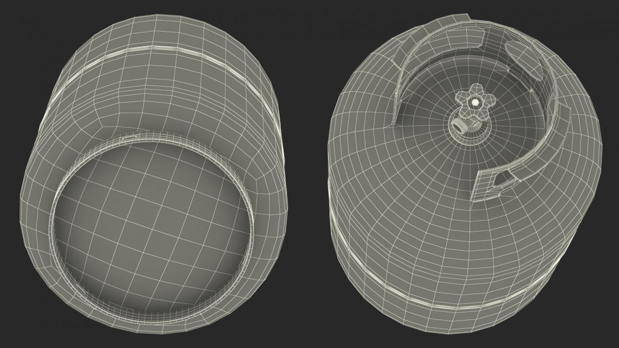 Standard Propane Gas Cylinder 3D model