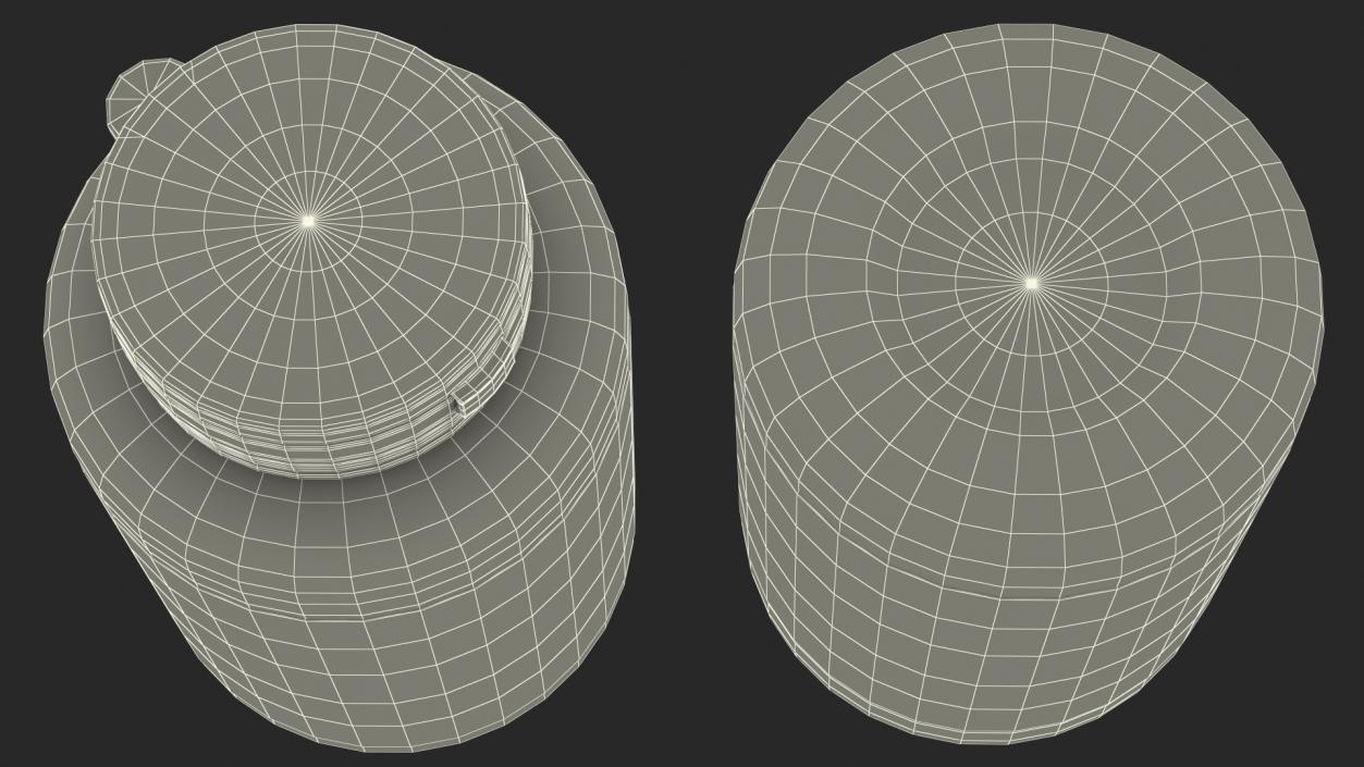 3D Dandelian Root Jar model